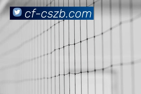 彩神争霸平台生态图